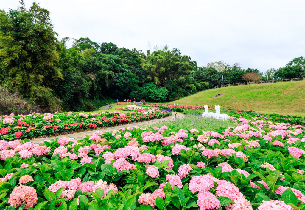 大溝溪親水公園-大溝溪生態治水園區