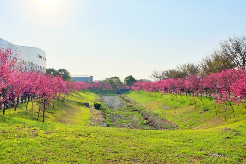 中科崴立櫻花公園