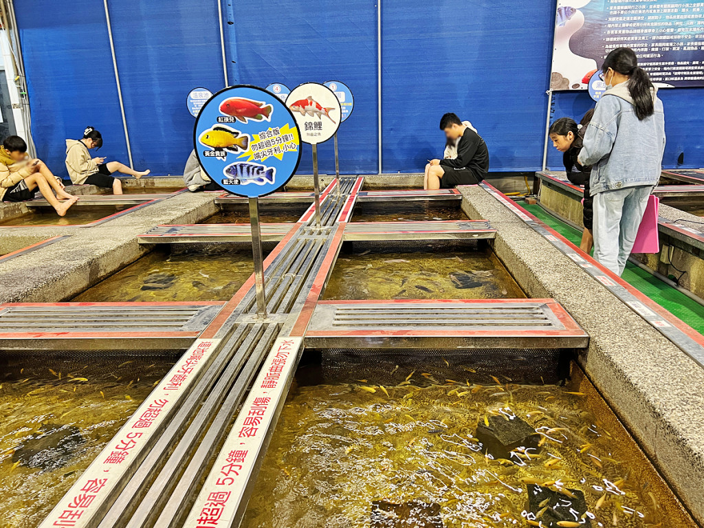 重口味溫泉魚(小魚咬腳)