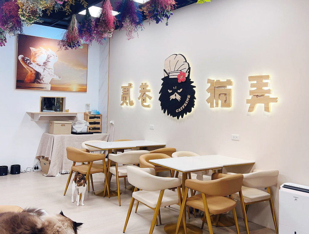 貳巷貓弄Catfeine板橋店(貓餐廳/貓咖啡廳)
