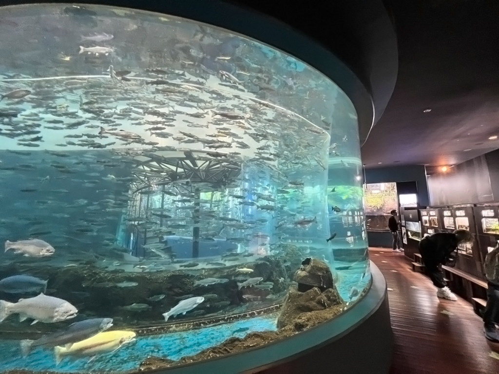 日本河口湖-森之中水族館-魚公園さかな公園