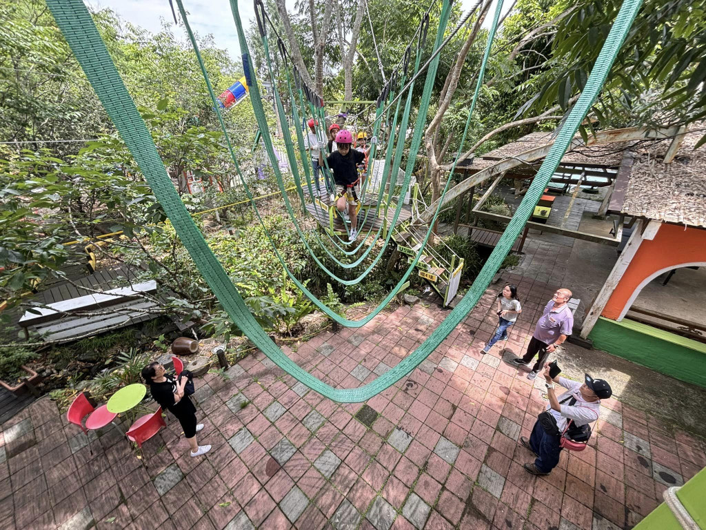 幸福20號農場(空中樹梢體驗-高低空探索)