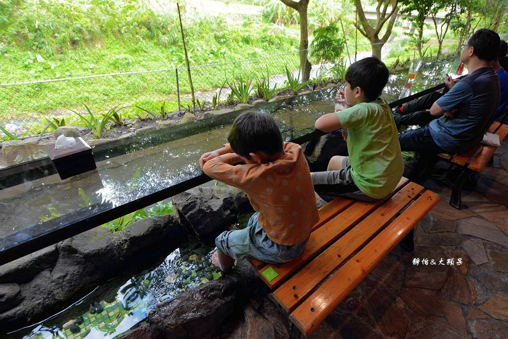 流水森林(小魚咬腳)