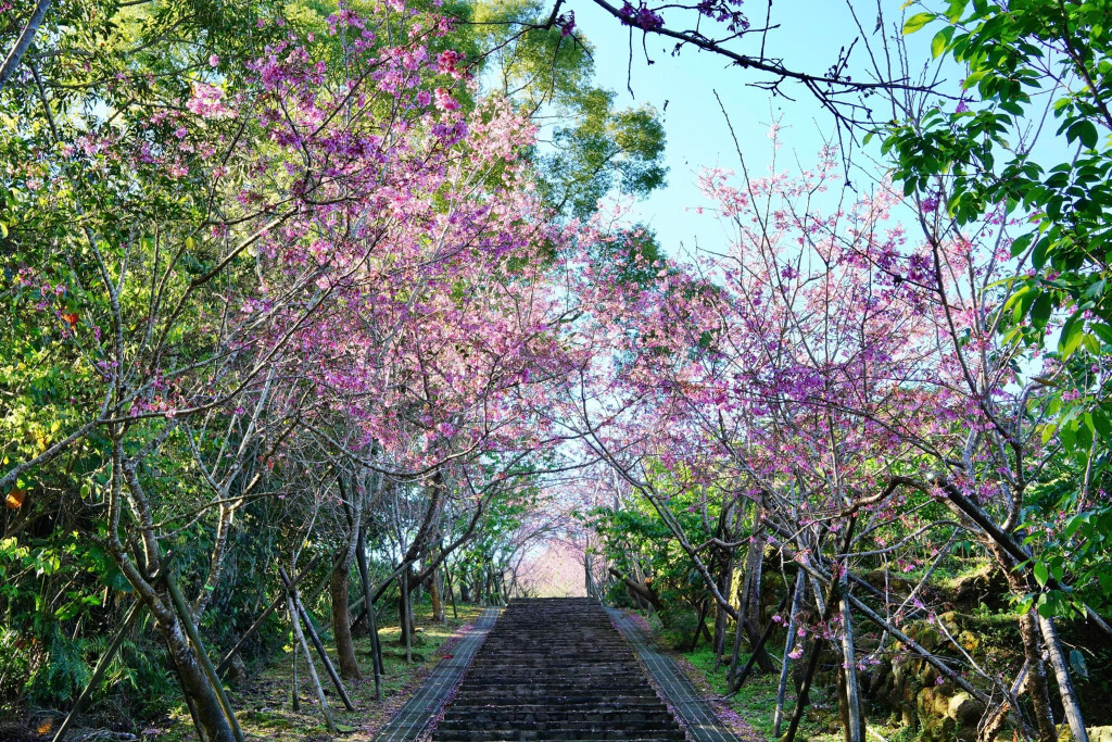鳳凰自然教育園區(台大農業實驗林管處)