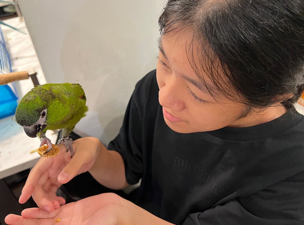 PARROT COFFEE 派洛特咖啡(鸚鵡餐廳/鸚鵡咖啡廳)