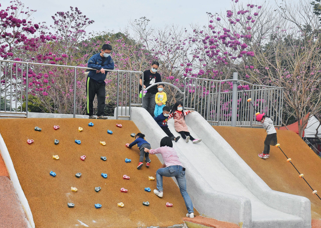 頂溪體育休閒共融遊戲場(頂溪共融公園-特色遊戲場)