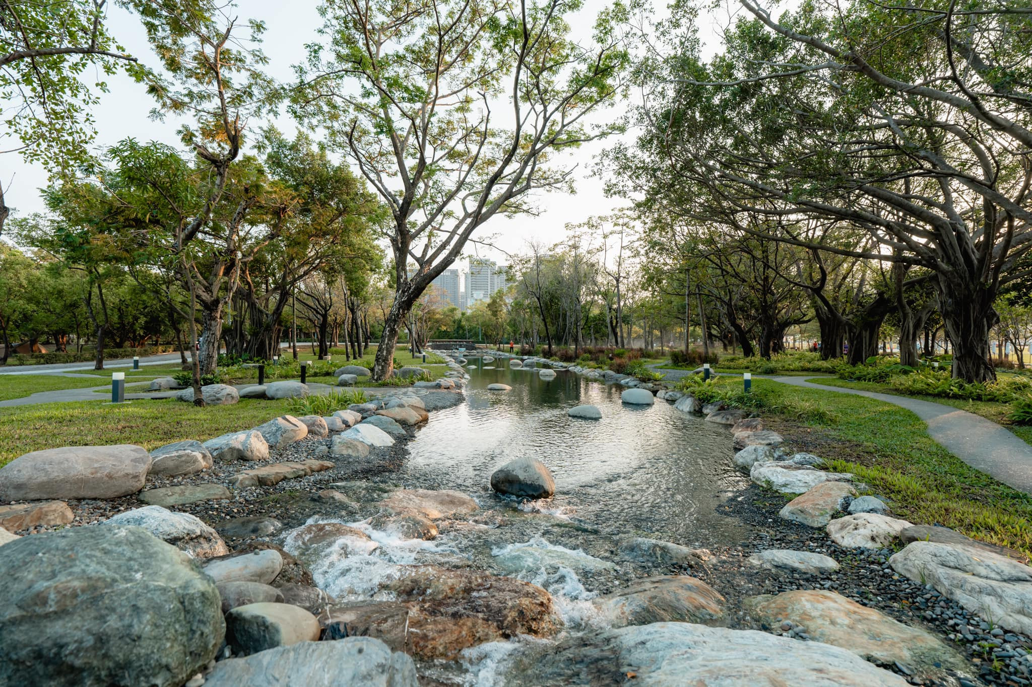 內惟埤文化園區(內惟埤濕地)-內惟森林親水河道