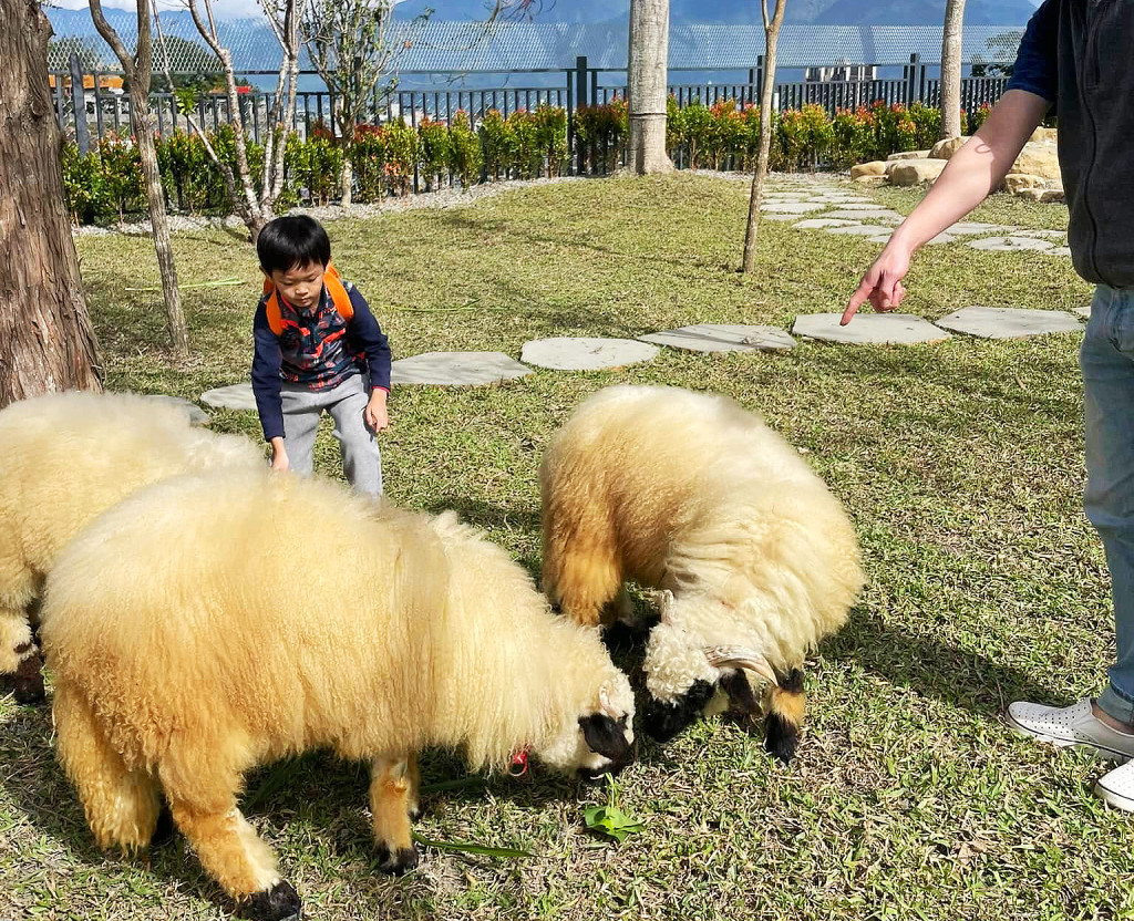 水与松萌萌園(水與松萌萌園)