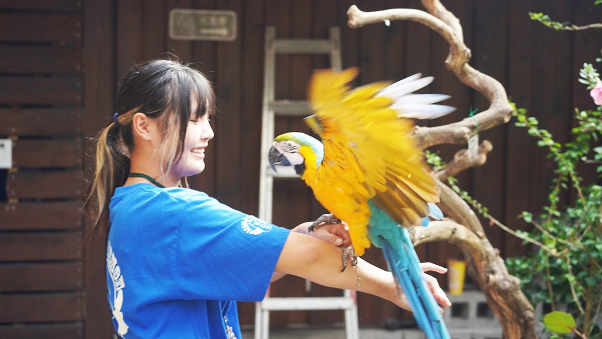 天使&惡魔動物互動園區