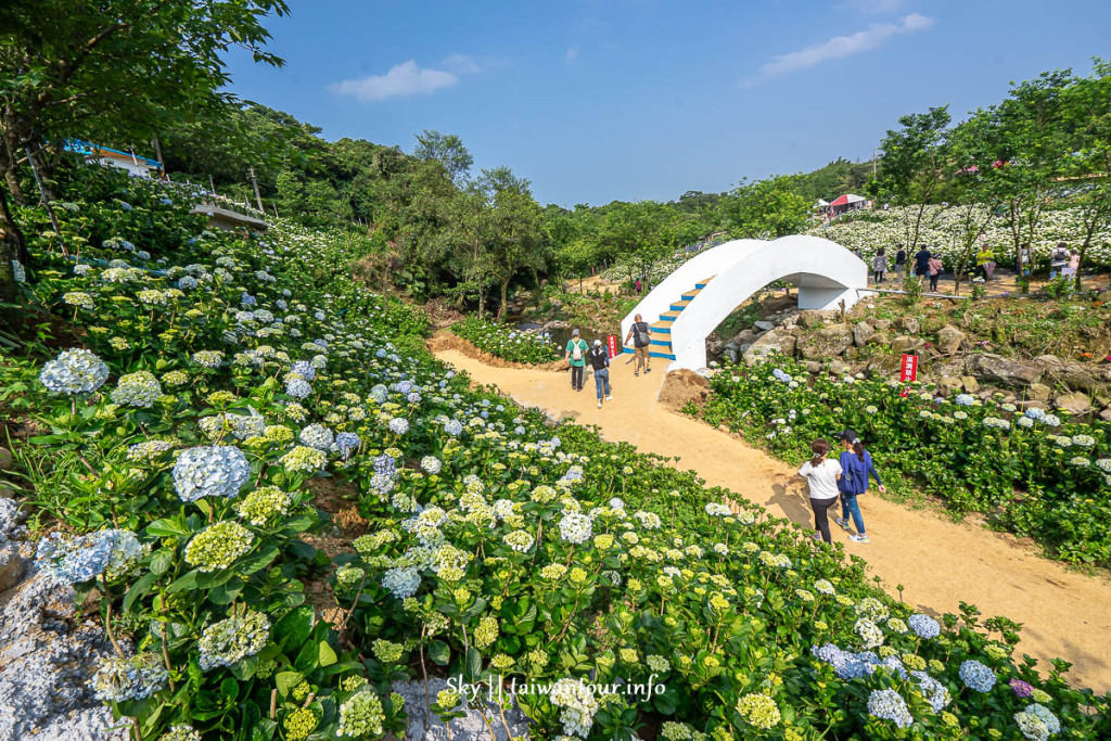 高家繡球花田-萬里第三園區(高家繡球花田第三園區)