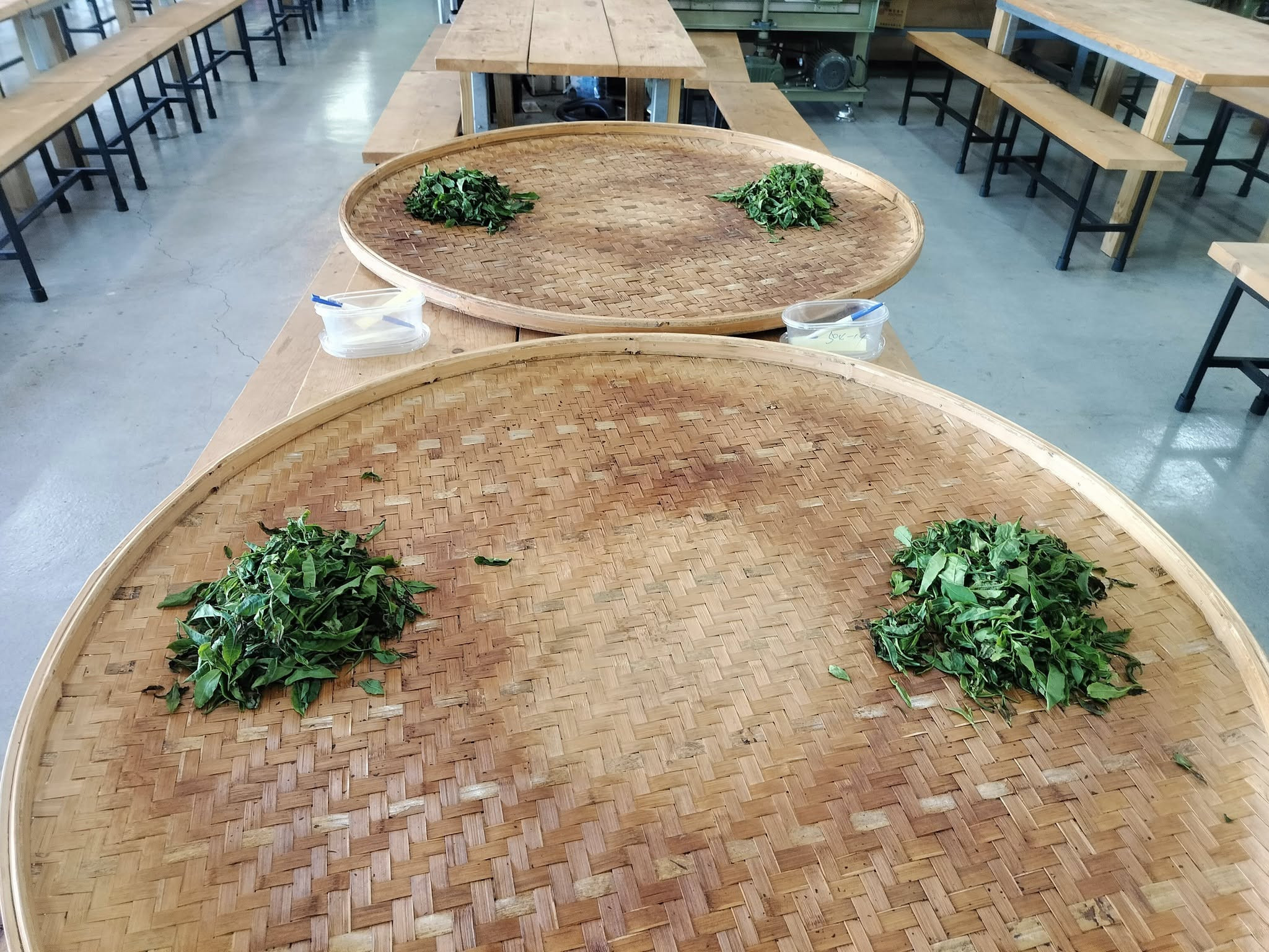 上福裕紅茶莊園