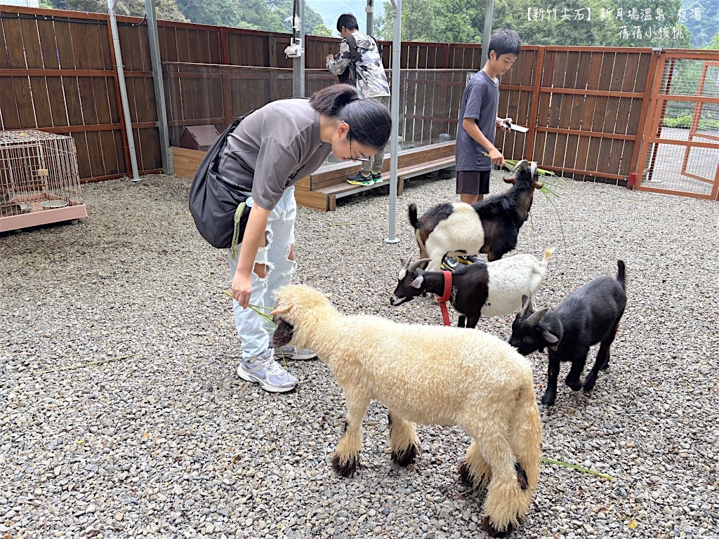 新月塢溫泉會館(看小動物)