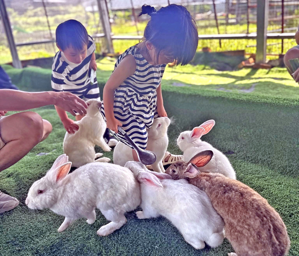 台北小奈良-淡水親子農場 台北小奈良-淡水親子農場