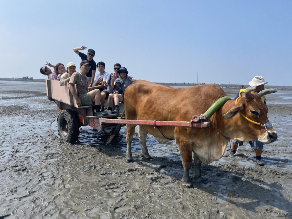 芳苑潮間帶旅遊-阿進帶你採蚵趣(芳苑潮間帶旅遊丁春進採蚵) 芳苑潮間帶旅遊-阿進帶你採蚵趣(芳苑潮間帶旅遊丁春進採蚵)