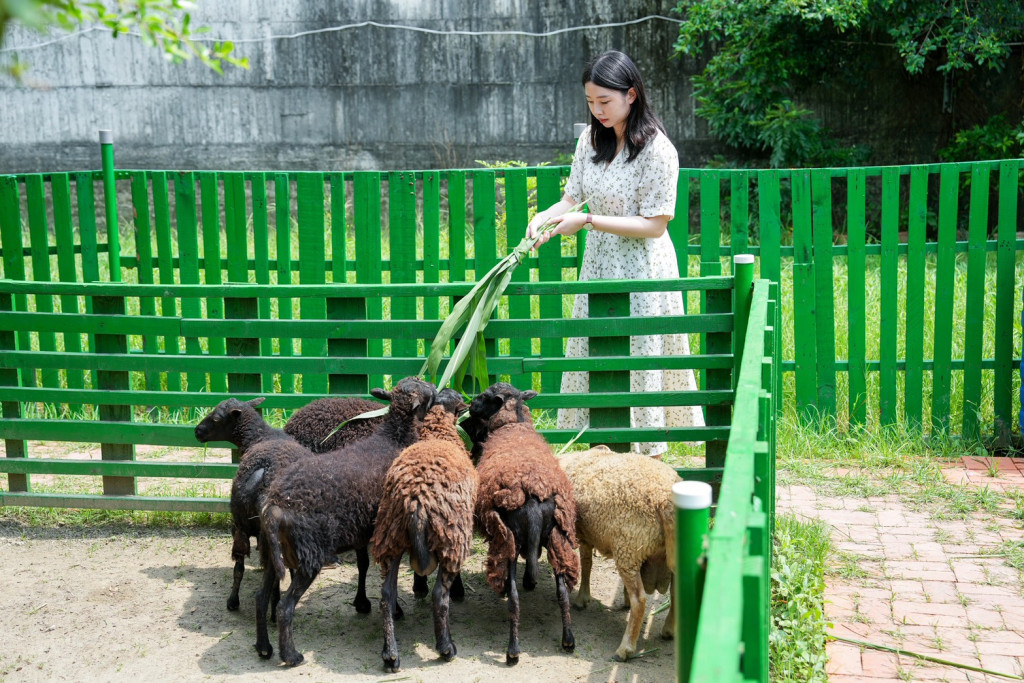 亞力山大蝴蝶生態教育農場