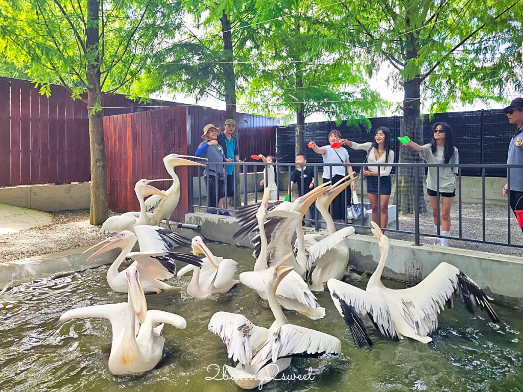 樹懶餐廳(萌寵農場) 樹懶餐廳(萌寵農場)