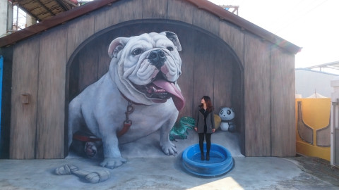 長安國小(3D彩繪鬥牛犬)